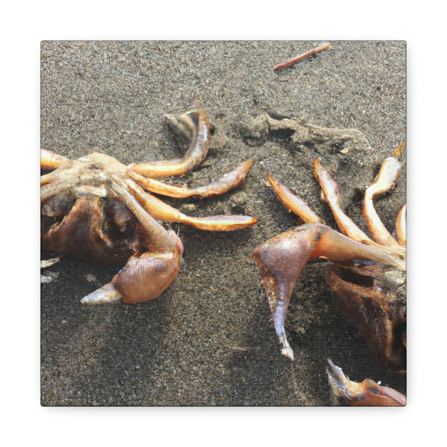 "Crab Creatures from the Sea" - The Alien Canva