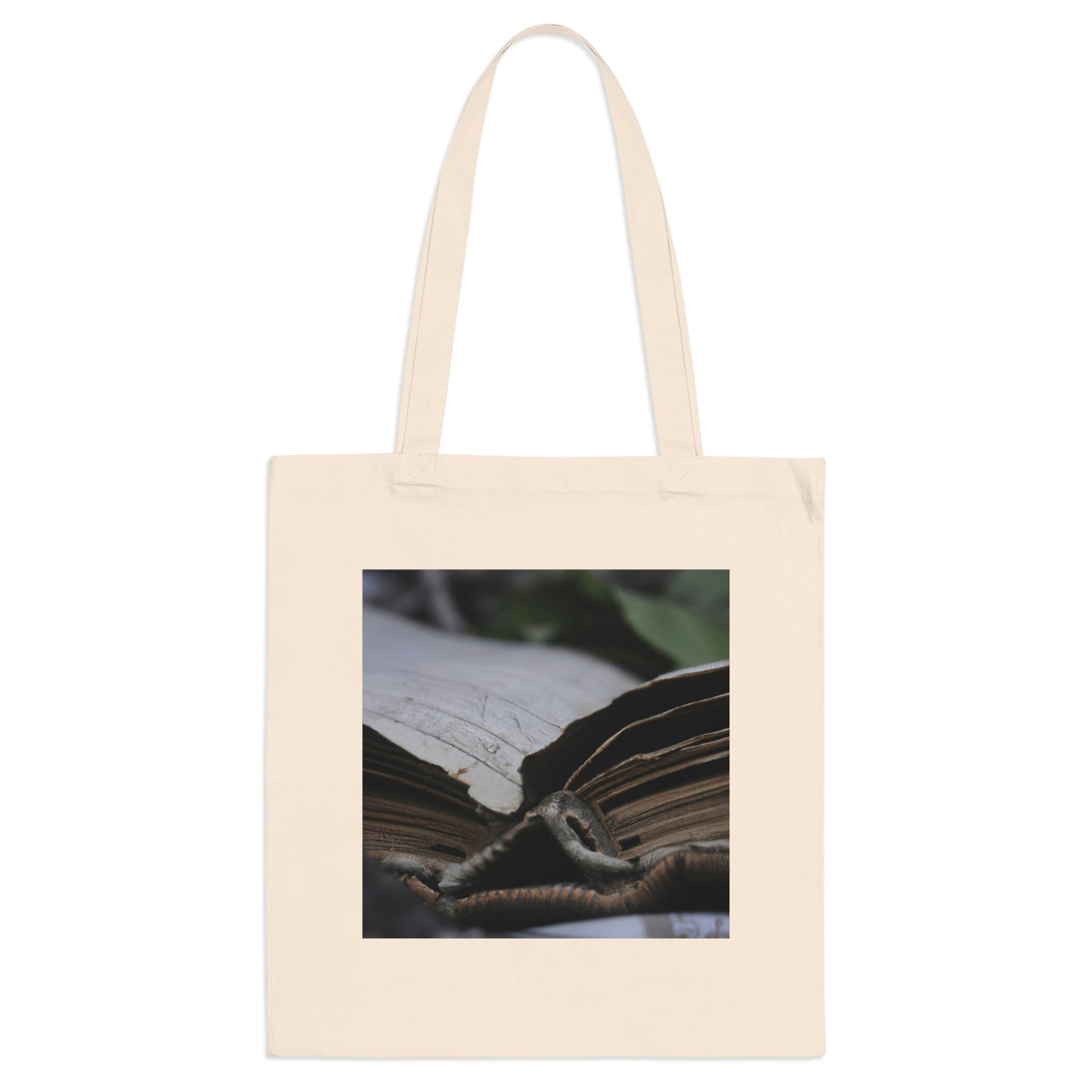 Unbeknownst to its readers, the book possesses magical powers.

"The Forgotten Tome of Magic" - The Alien Tote Bag