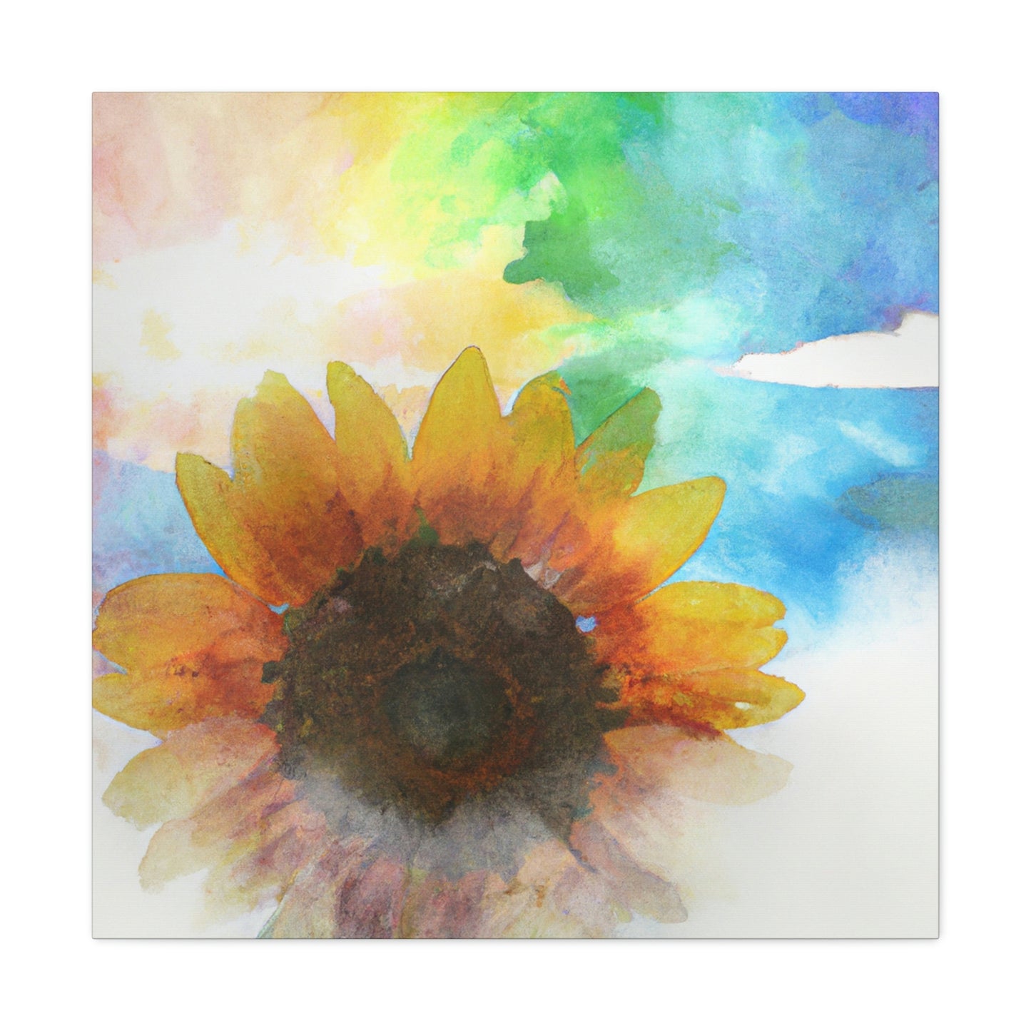 Rainbow Skies Artist - Canvas