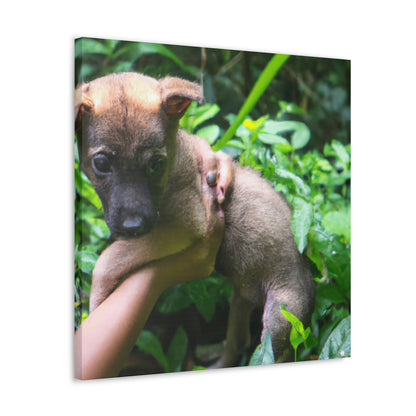 "Lost in the Woods: A Puppy's Rescue" - The Alien Canva