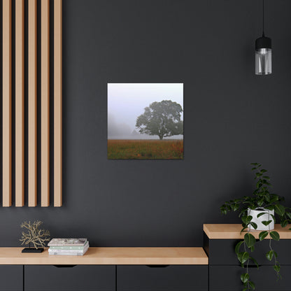 The Lonely Tree in the Foggy Meadow - The Alien Canva