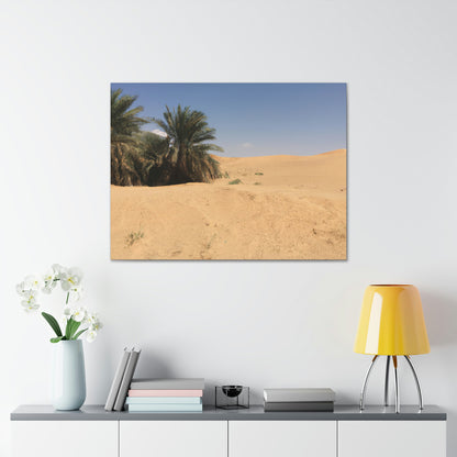 "A Desert Oasis" - The Alien Canva