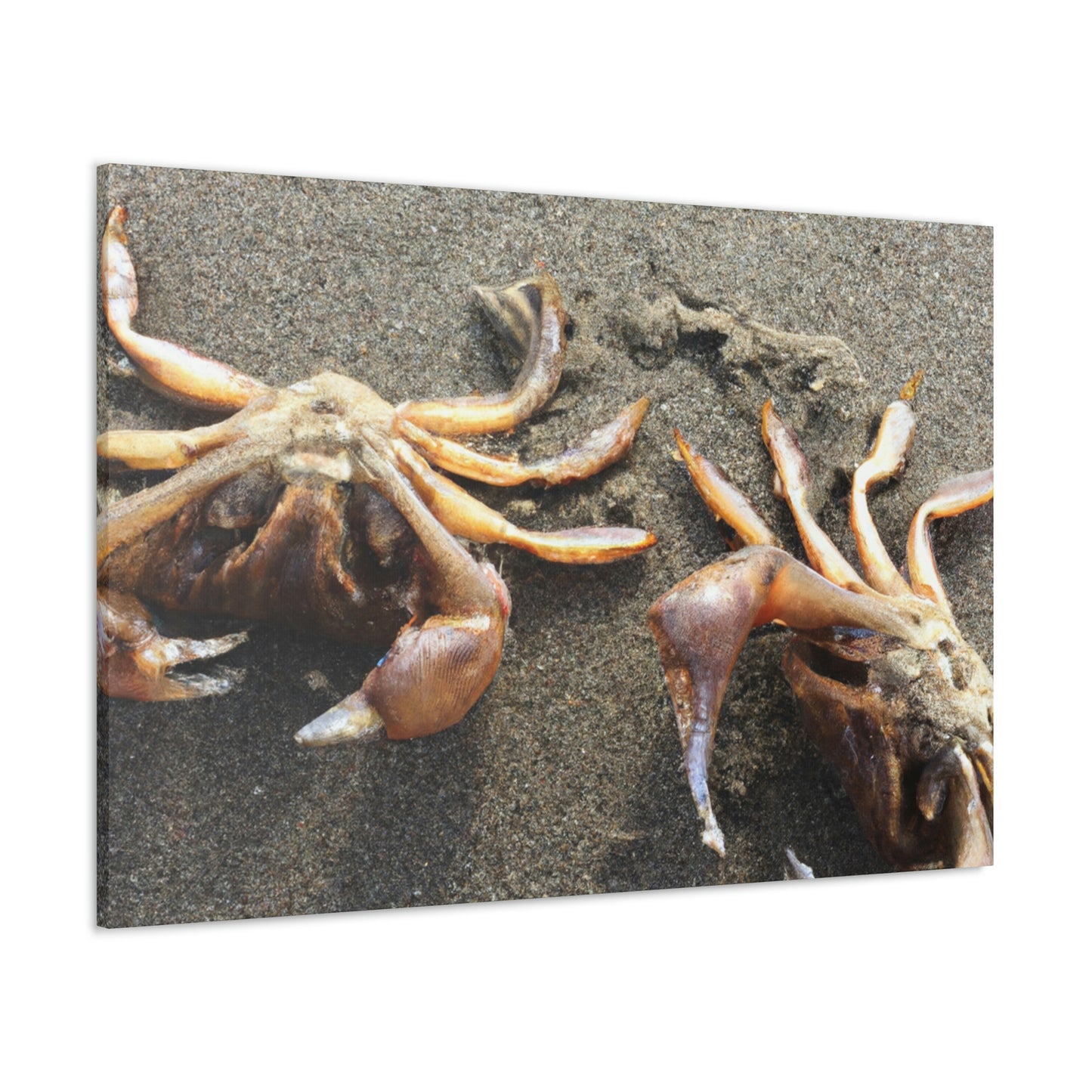 "Crab Creatures from the Sea" - The Alien Canva