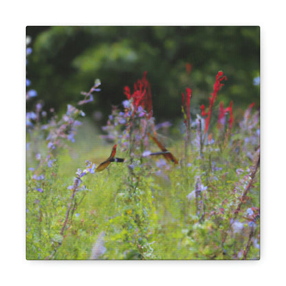 "The Dragonfly Ball in the Wildflower Meadow" - The Alien Canva