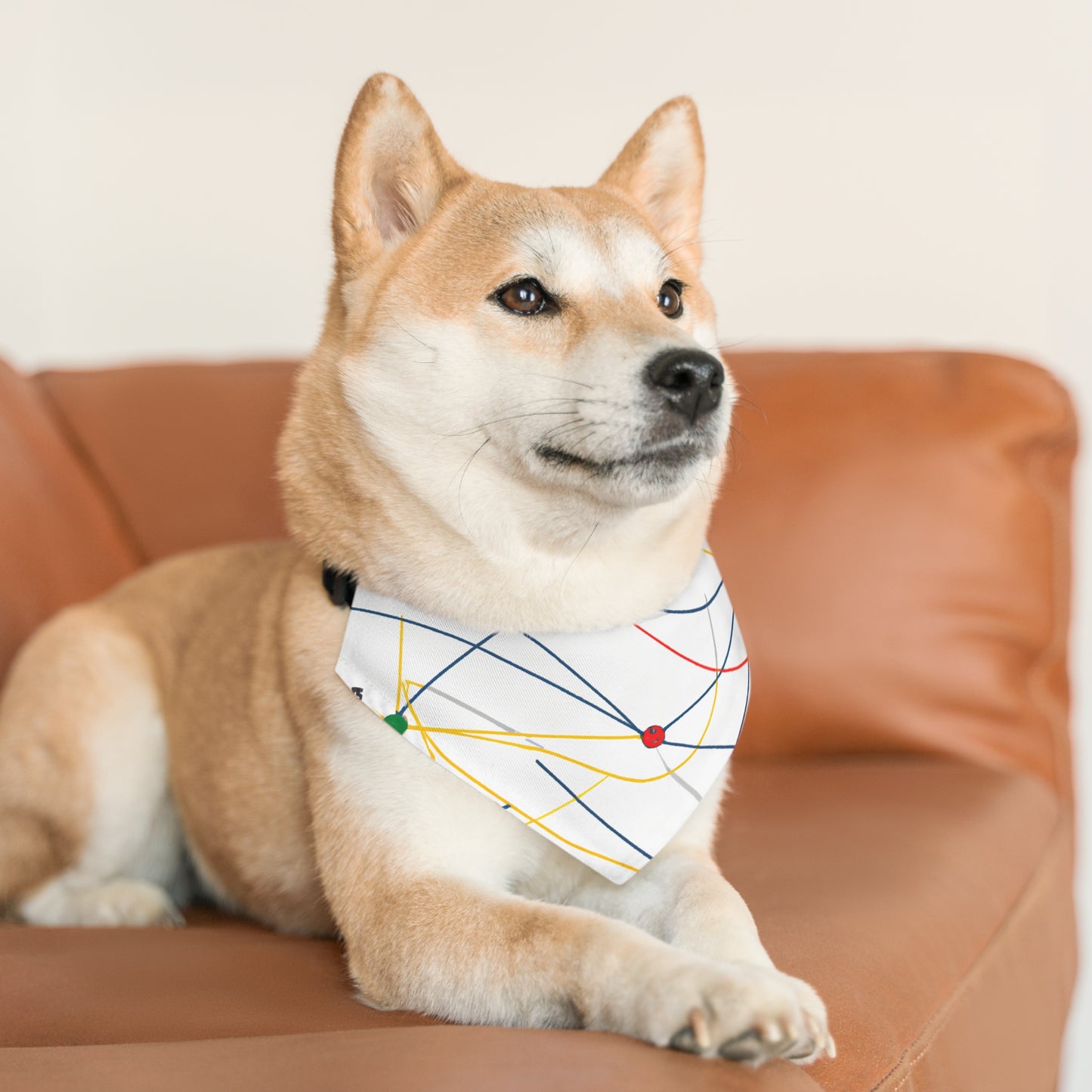 "Explorando la topología dinámica: visualización ingeniosa de una estructura de red". - El collar de bandana para mascotas alienígenas