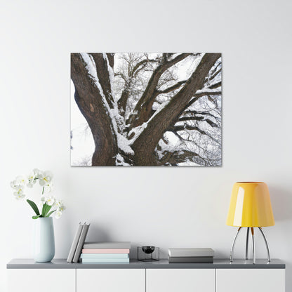 "Winter Wonderland Tree" - The Alien Canva