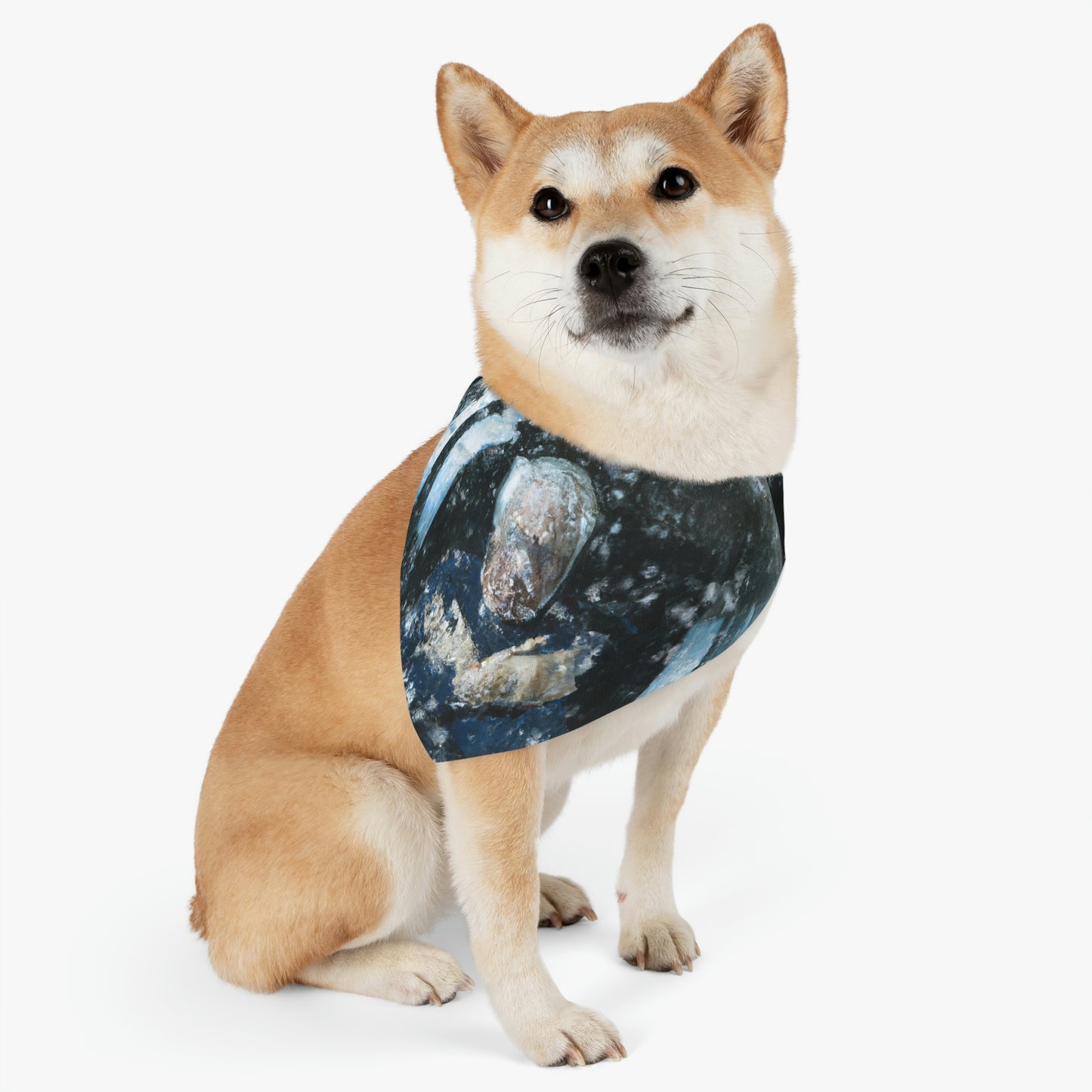 "Uncertain Snowglobe" - The Alien Pet Bandana Collar