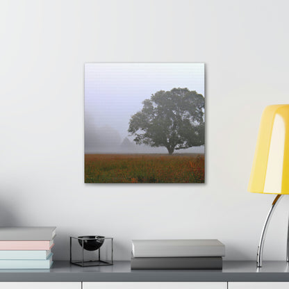 The Lonely Tree in the Foggy Meadow - The Alien Canva