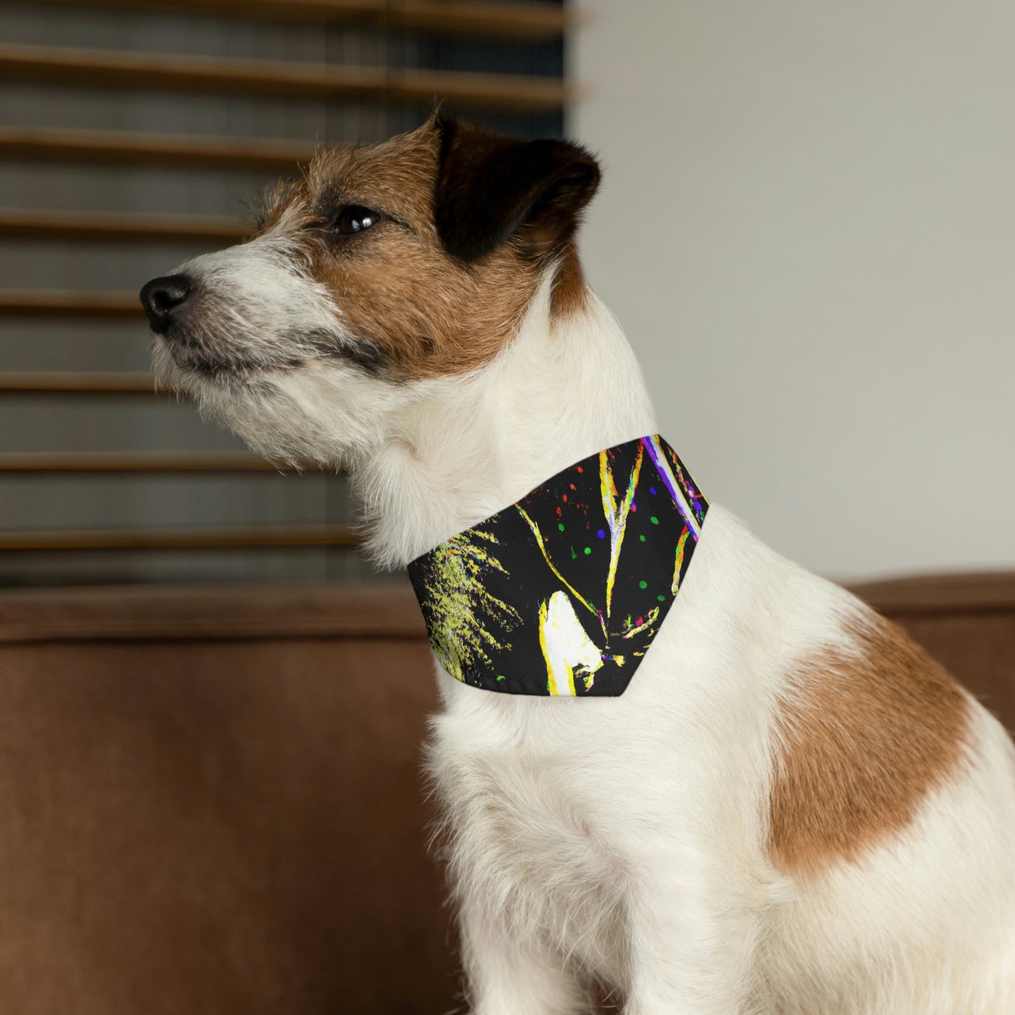 "Un espectáculo nocturno de maravillas": el collar de bandana para mascotas alienígenas