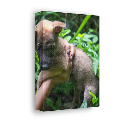 "Lost in the Woods: A Puppy's Rescue" - The Alien Canva