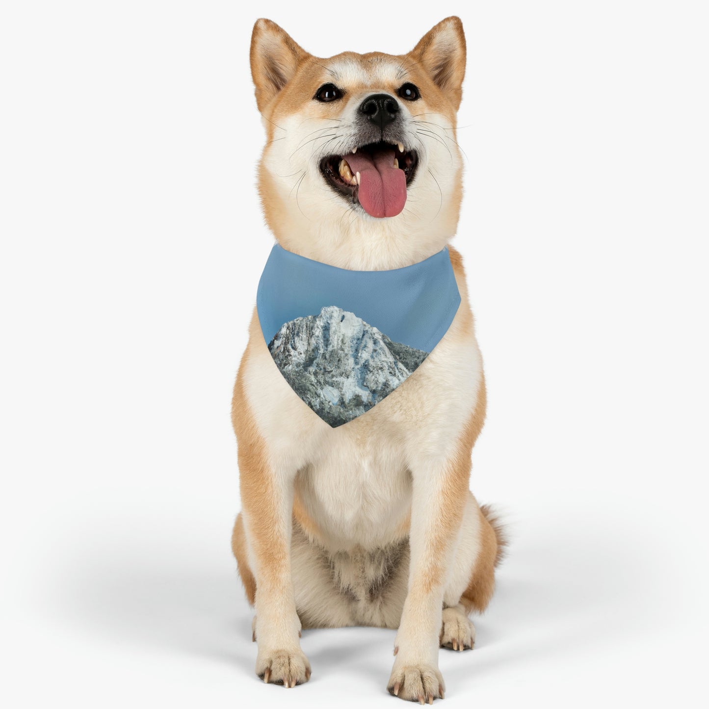 "Winter Wonderland" - The Alien Pet Bandana Collar #nft