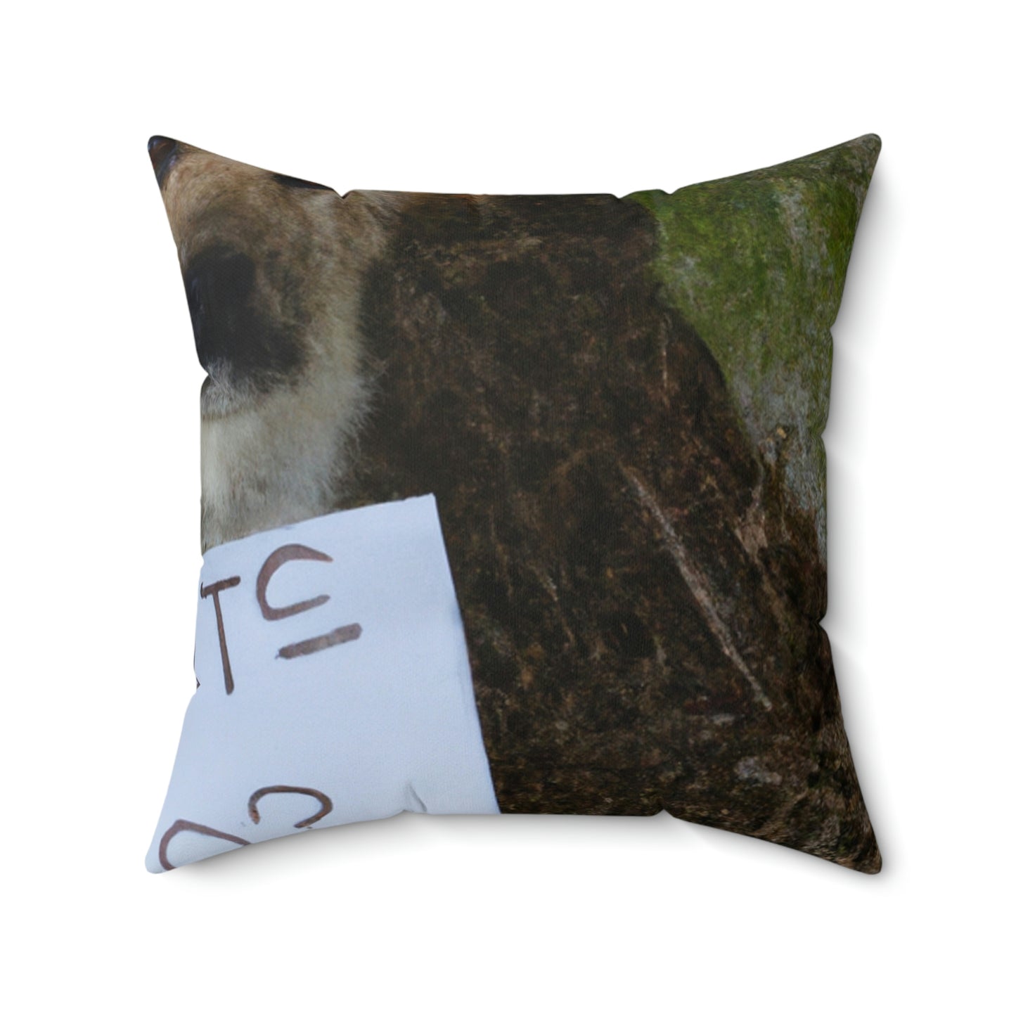 "A Heartbreaking Search: The Lost Dog's Plea for Reunion" - The Alien Square Pillow