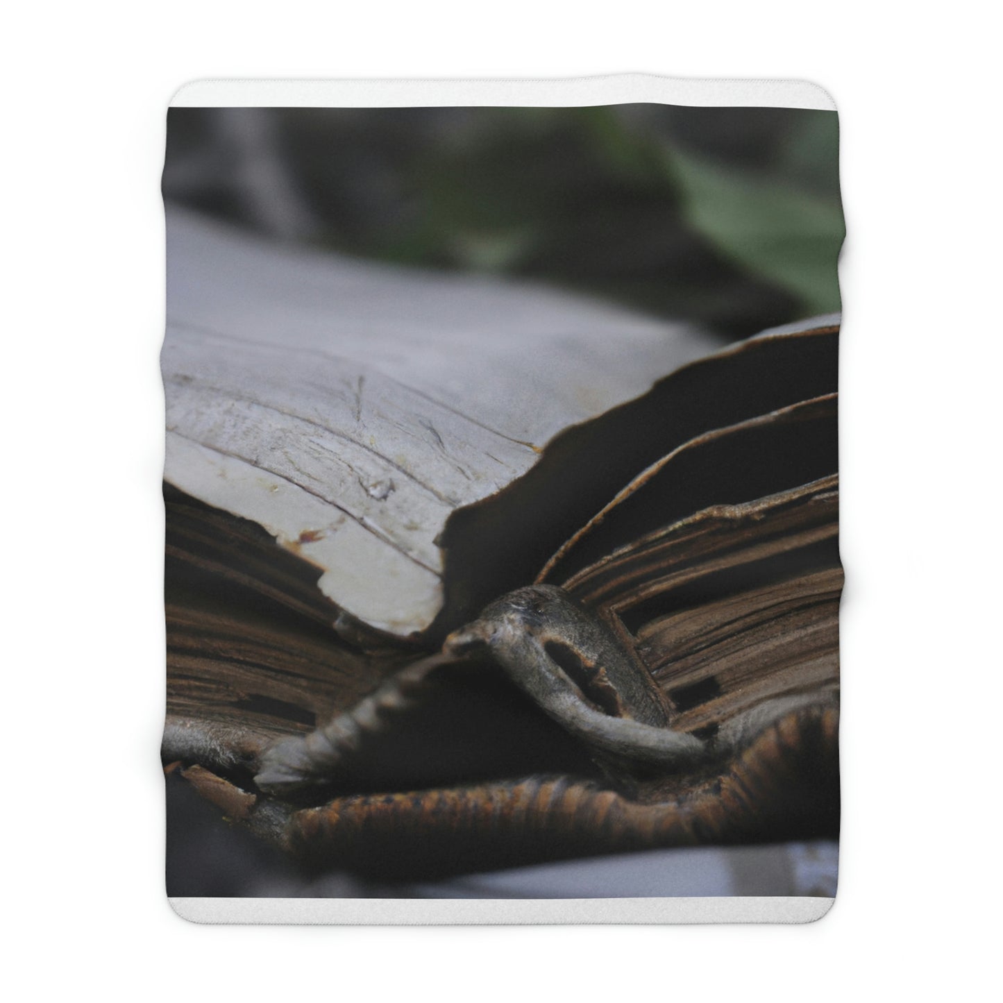 Unbeknownst to its readers, the book possesses magical powers.

"The Forgotten Tome of Magic" - The Alien Sherpa Fleece Blanket