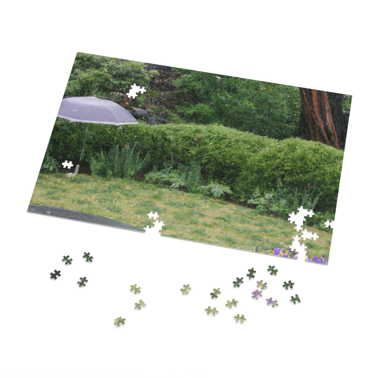 "Rainy Refuges: Uncovering the Fortune of a Garden Under an Umbrella" - The Alien Jigsaw Puzzle