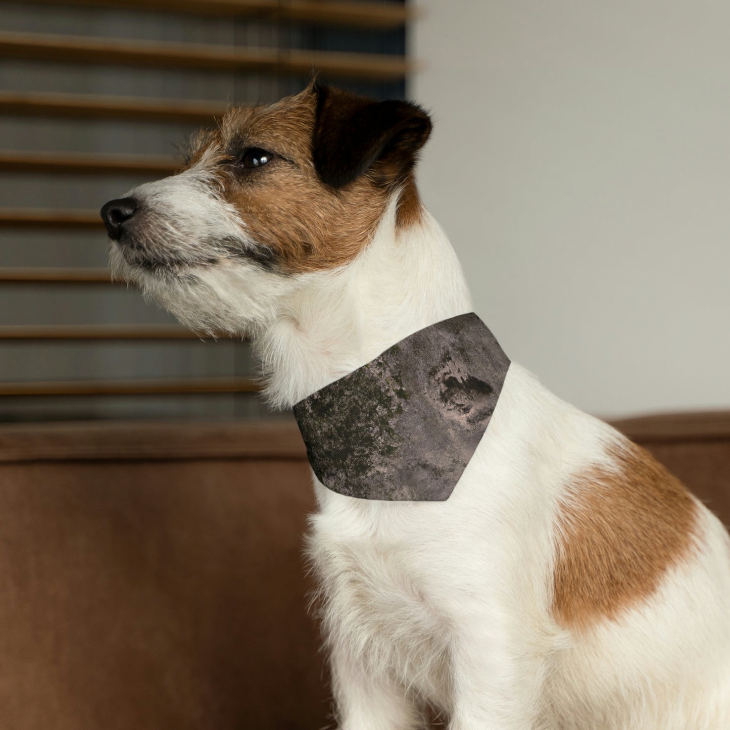 "Corner of Confidences" - The Alien Pet Bandana Collar