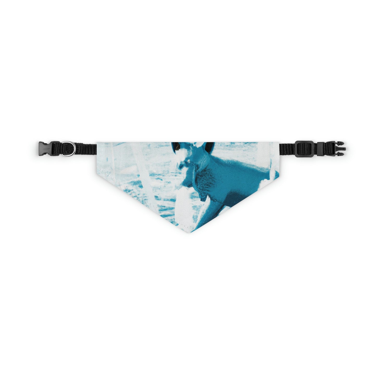 "Foxy Herumtollen im Brunnen" - Das Alien Pet Bandana Halsband