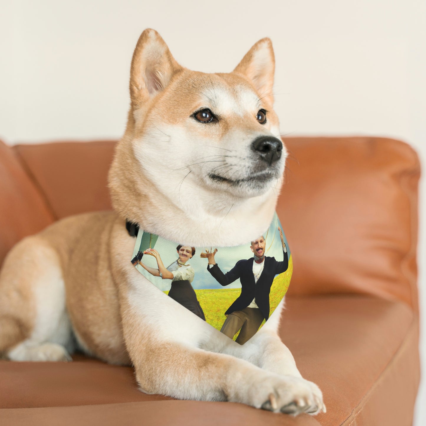 "Un día de cometas en el prado" - El collar de bandana para mascotas alienígenas