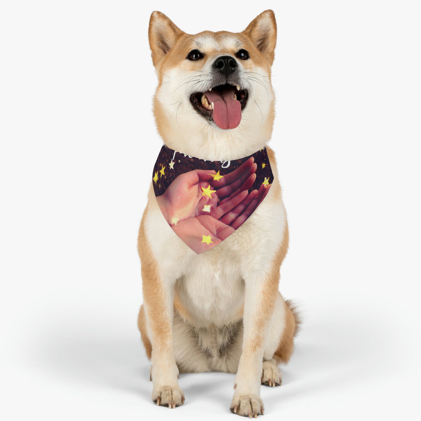 "A Starry Wish in My Pocket" - Das Alien Pet Bandana Halsband