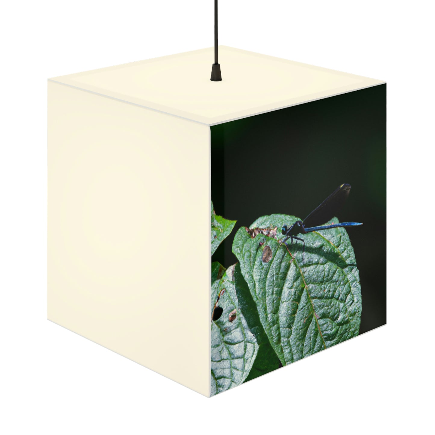 "Ein Moment der Vergänglichkeit" - Die Alien Light Cube Lampe