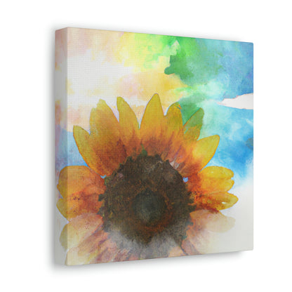 Rainbow Skies Artist - Canvas