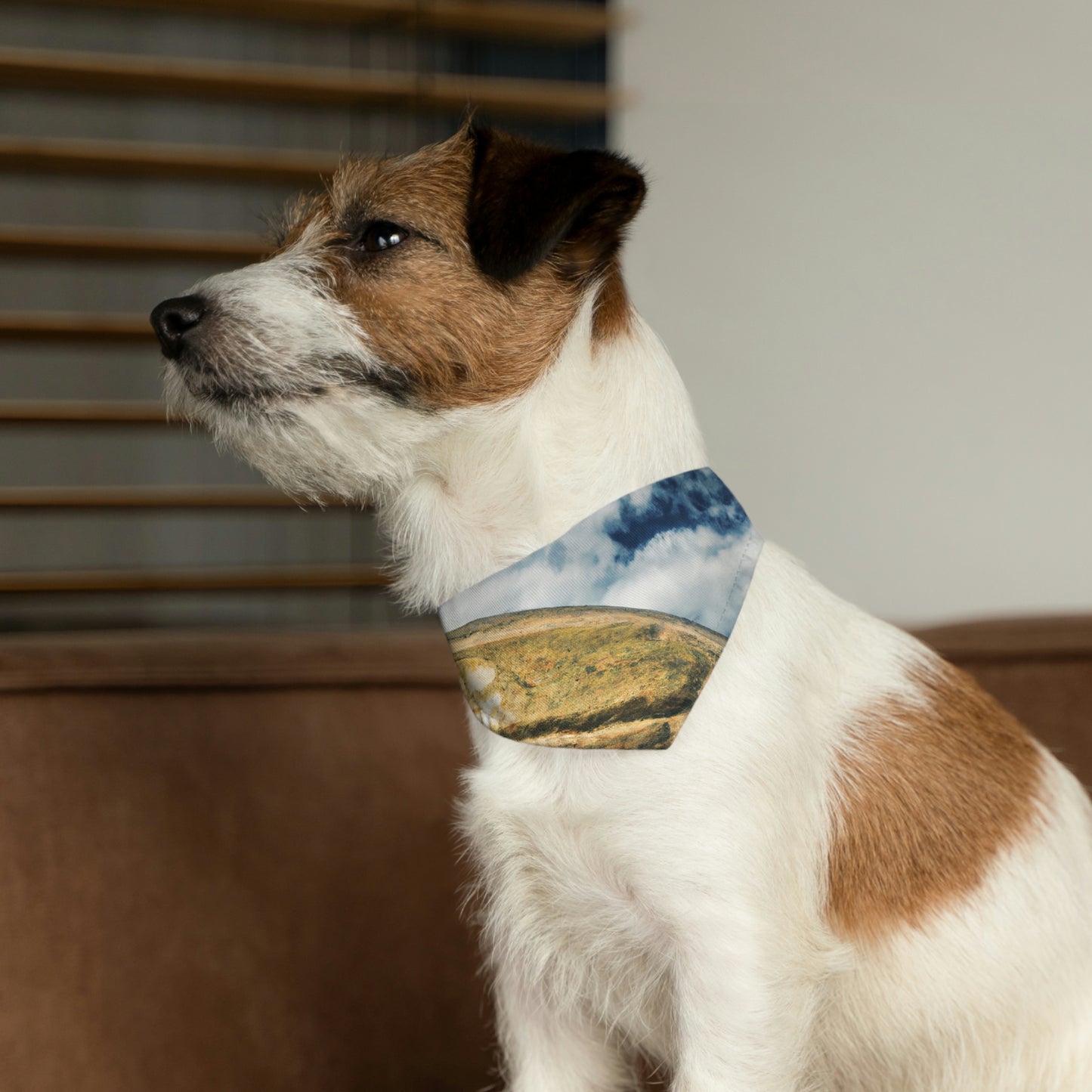 Mystery in the Meadow: El gigantesco hallazgo de un granjero - El collar de bandana para mascota alienígena