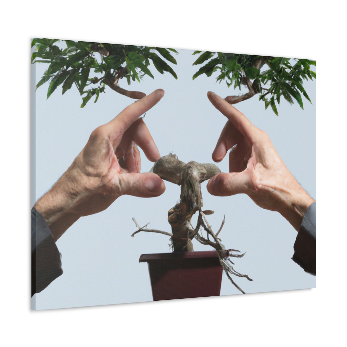 Bonsai Balance - Alex Art - Canvas