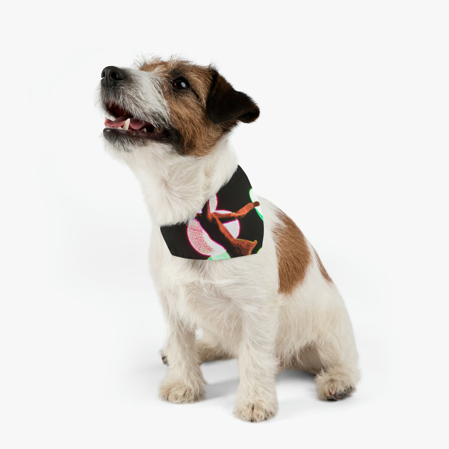 "Bailando en una lluvia de estrellas". - El collar de bandana para mascota alienígena