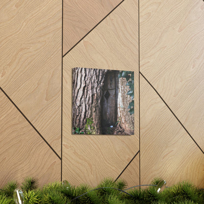 "La puerta misteriosa en el árbol antiguo" - The Alien Canva