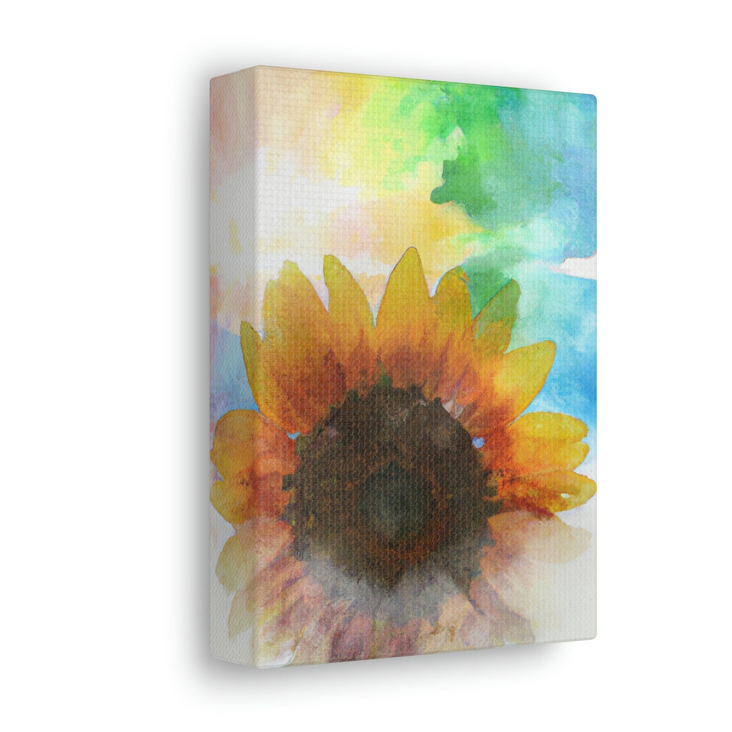 Rainbow Skies Artist - Canvas