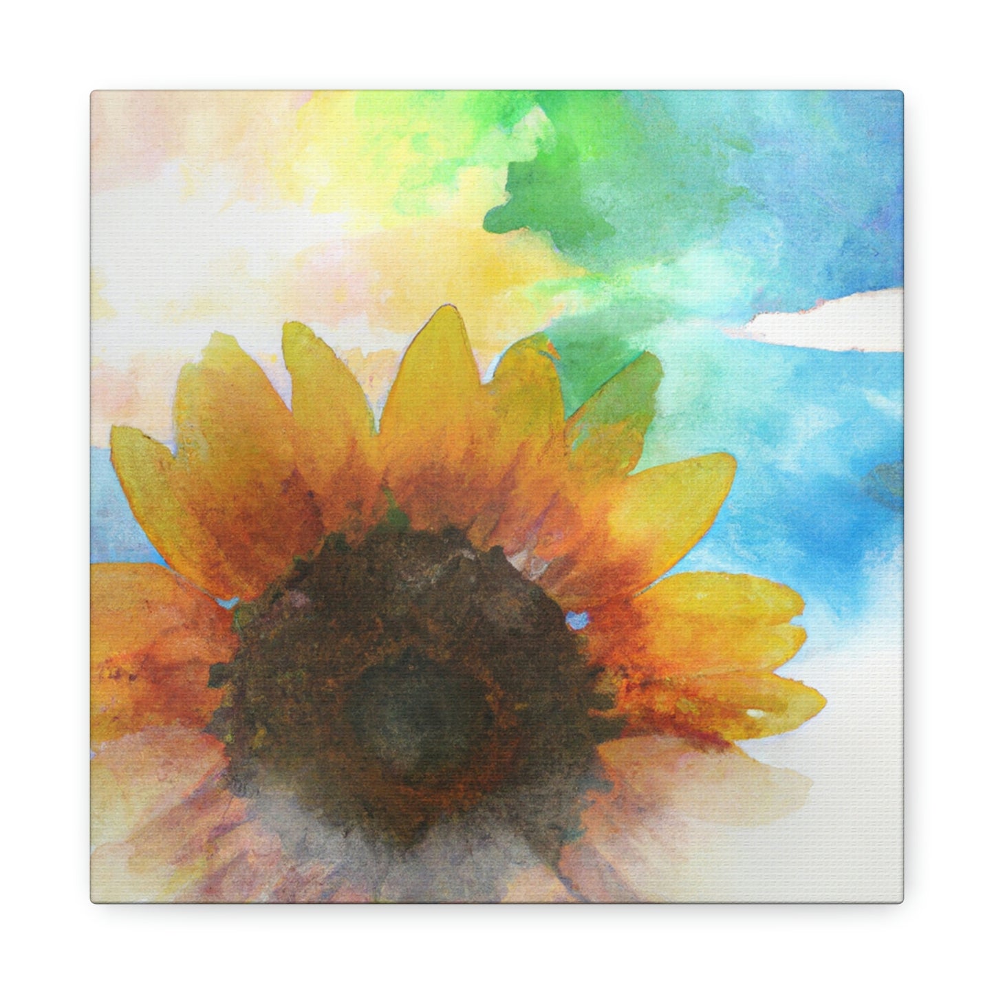 Rainbow Skies Artist - Canvas