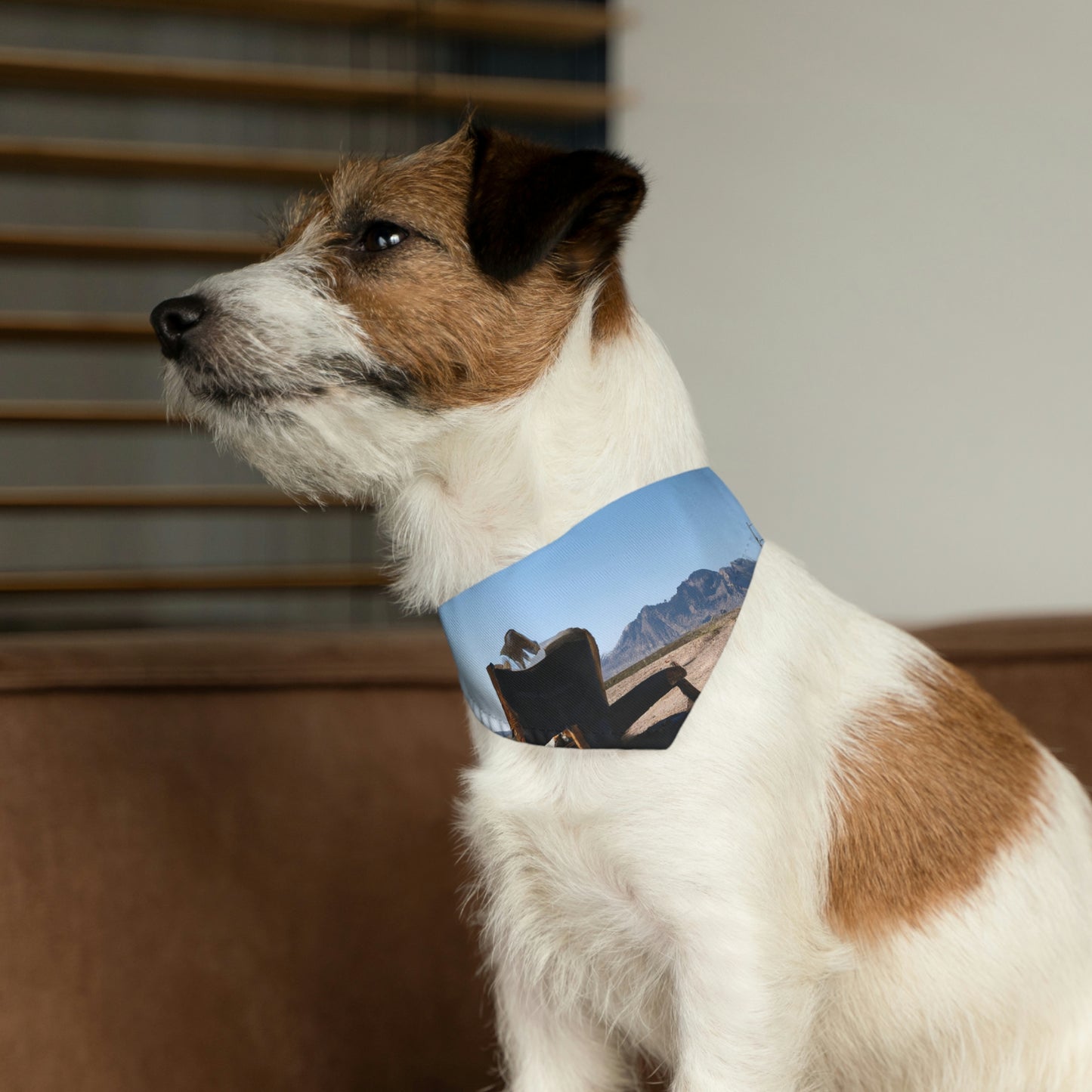 "The Forgotten Throne of the Desert" - The Alien Pet Bandana Collar