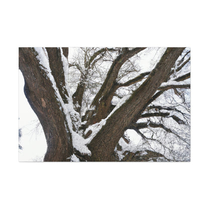 "Winter Wonderland Tree" - The Alien Canva