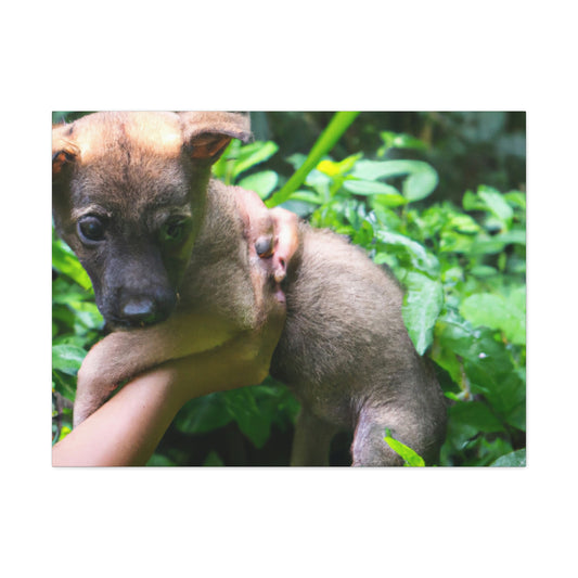 "Lost in the Woods: A Puppy's Rescue" - The Alien Canva