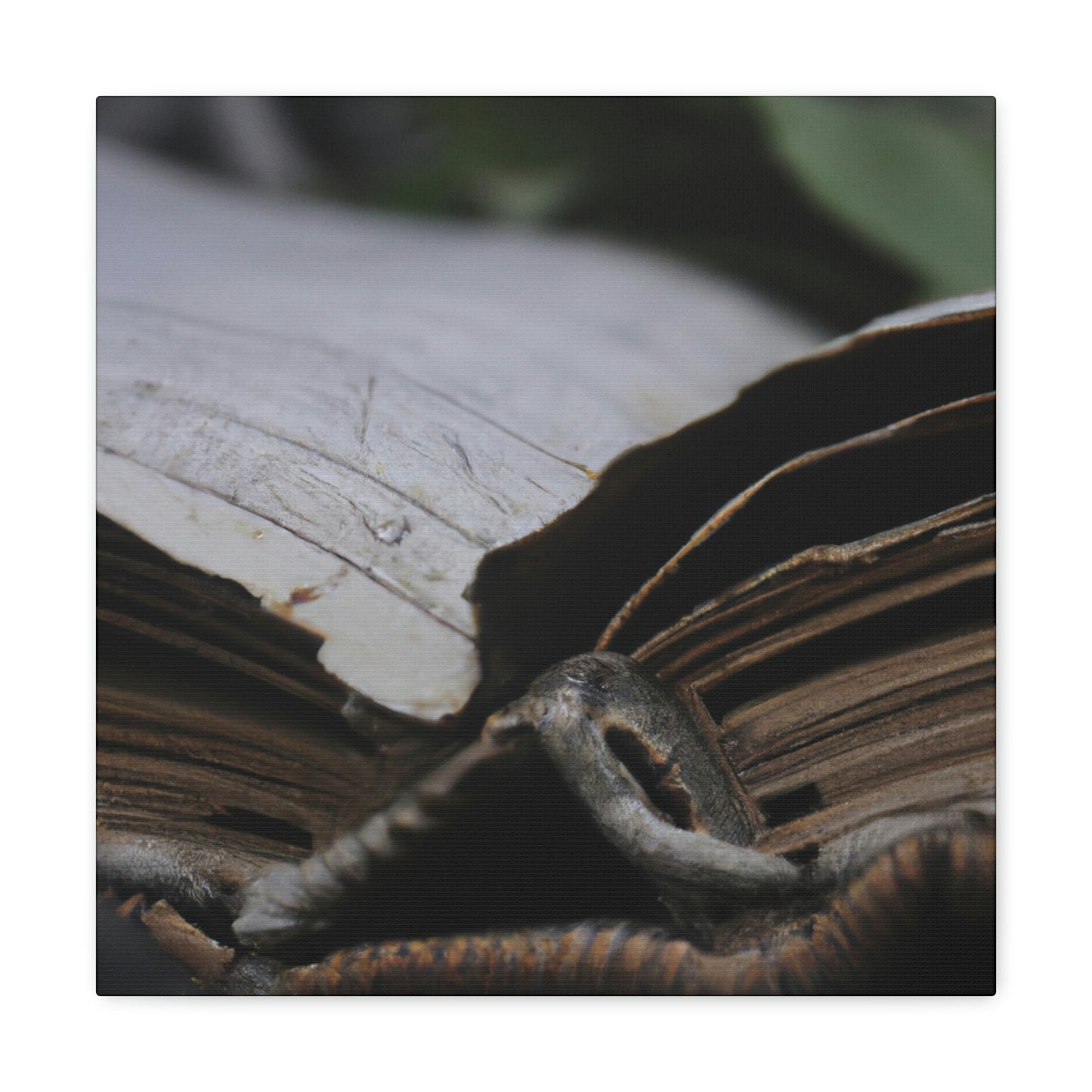 Unbeknownst to its readers, the book possesses magical powers.

"The Forgotten Tome of Magic" - The Alien Canva