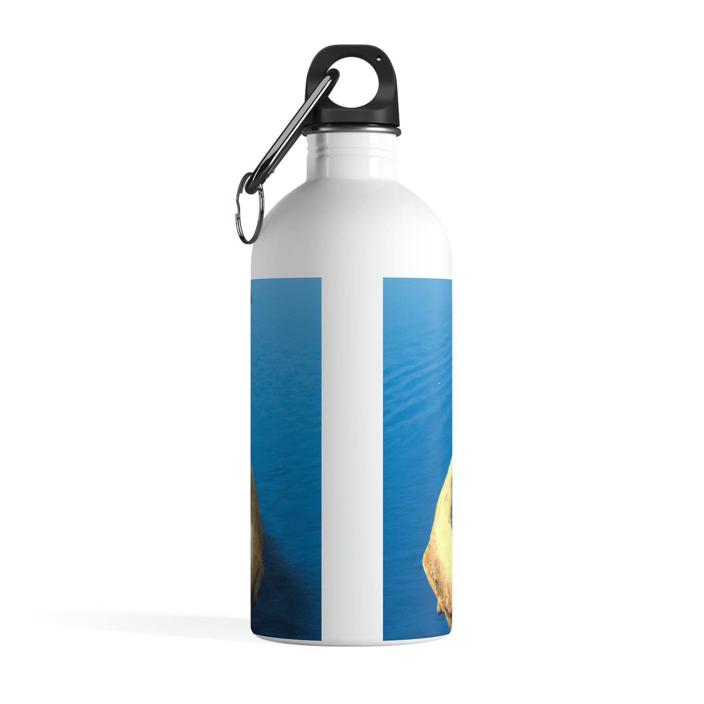 "Island Paradise in the Sky" - The Alien Stainless Steel Water Bottle