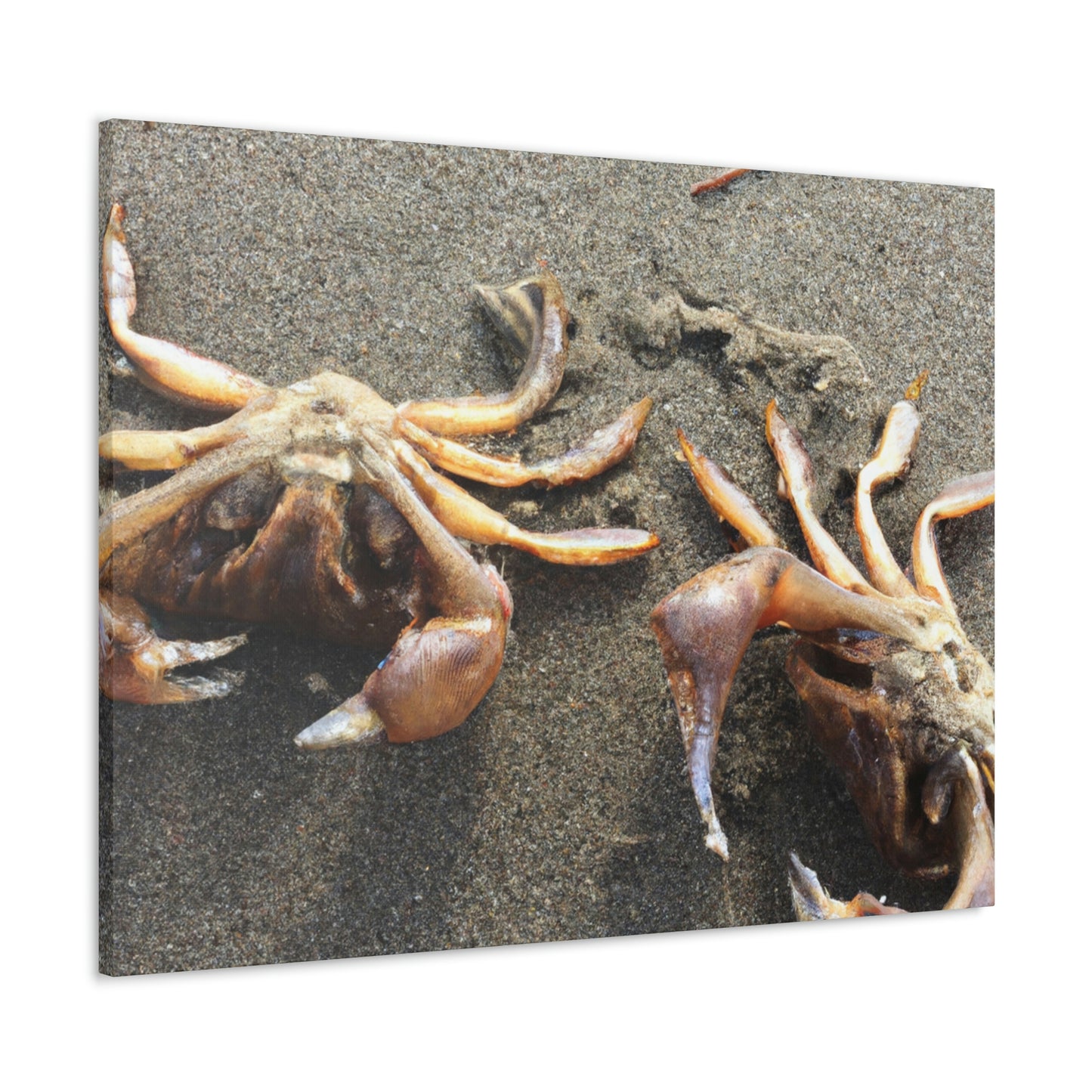 "Crab Creatures from the Sea" - The Alien Canva