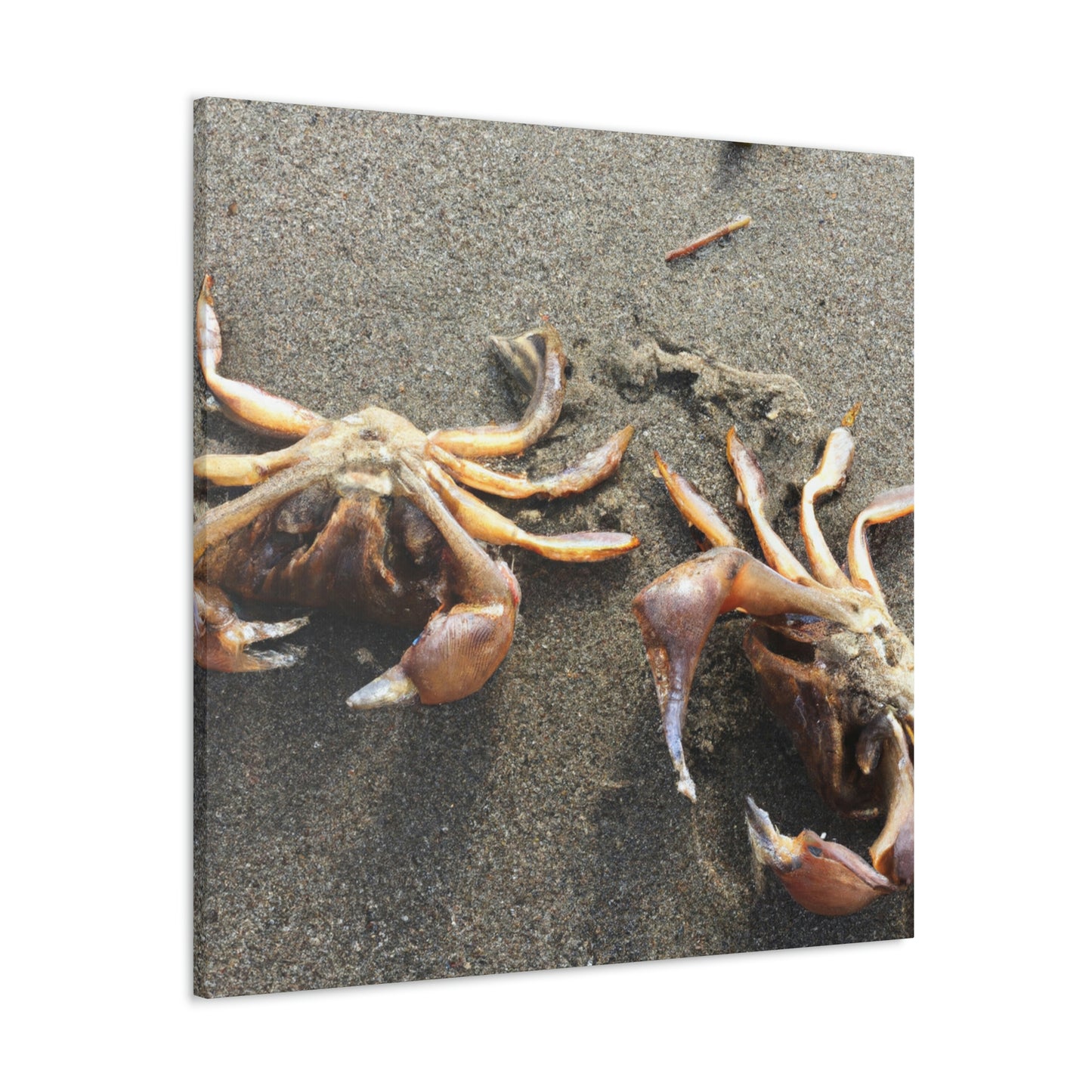 "Crab Creatures from the Sea" - The Alien Canva