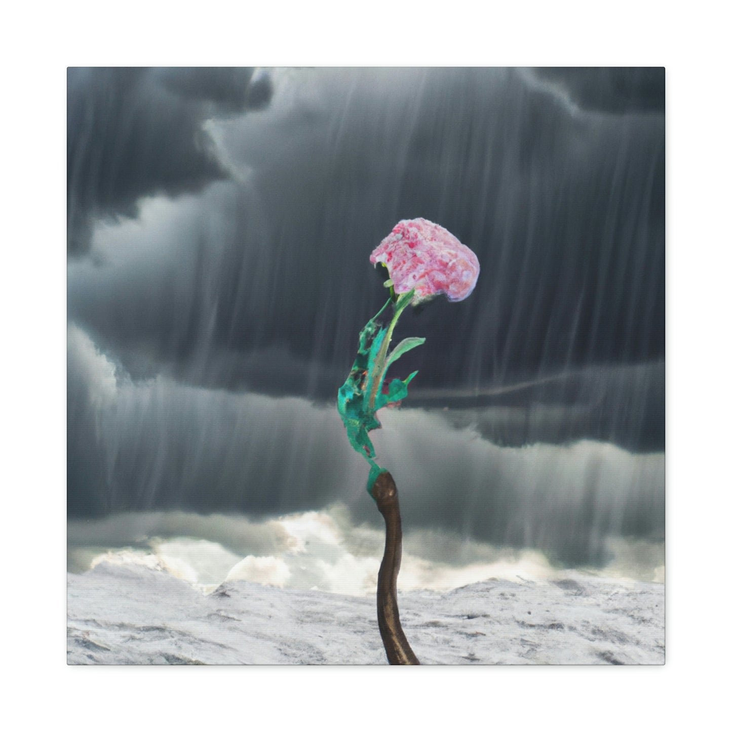 "Aight Against the Storm: The Story of a Lonely Flower" - The Alien Canva