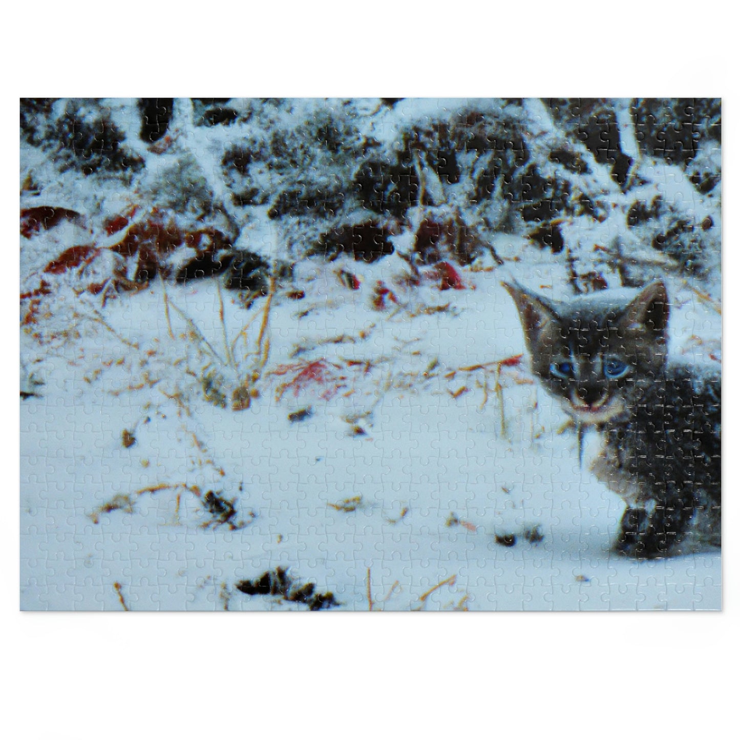 "Brave Kitten in the Frozen Storm" - The Alien Jigsaw Puzzle