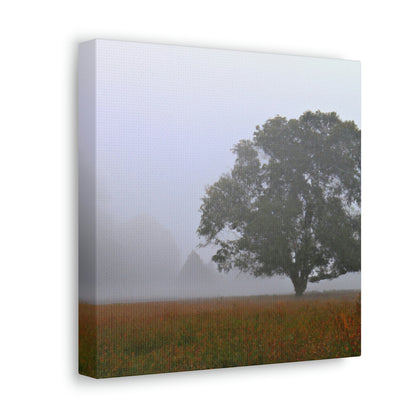 The Lonely Tree in the Foggy Meadow - The Alien Canva