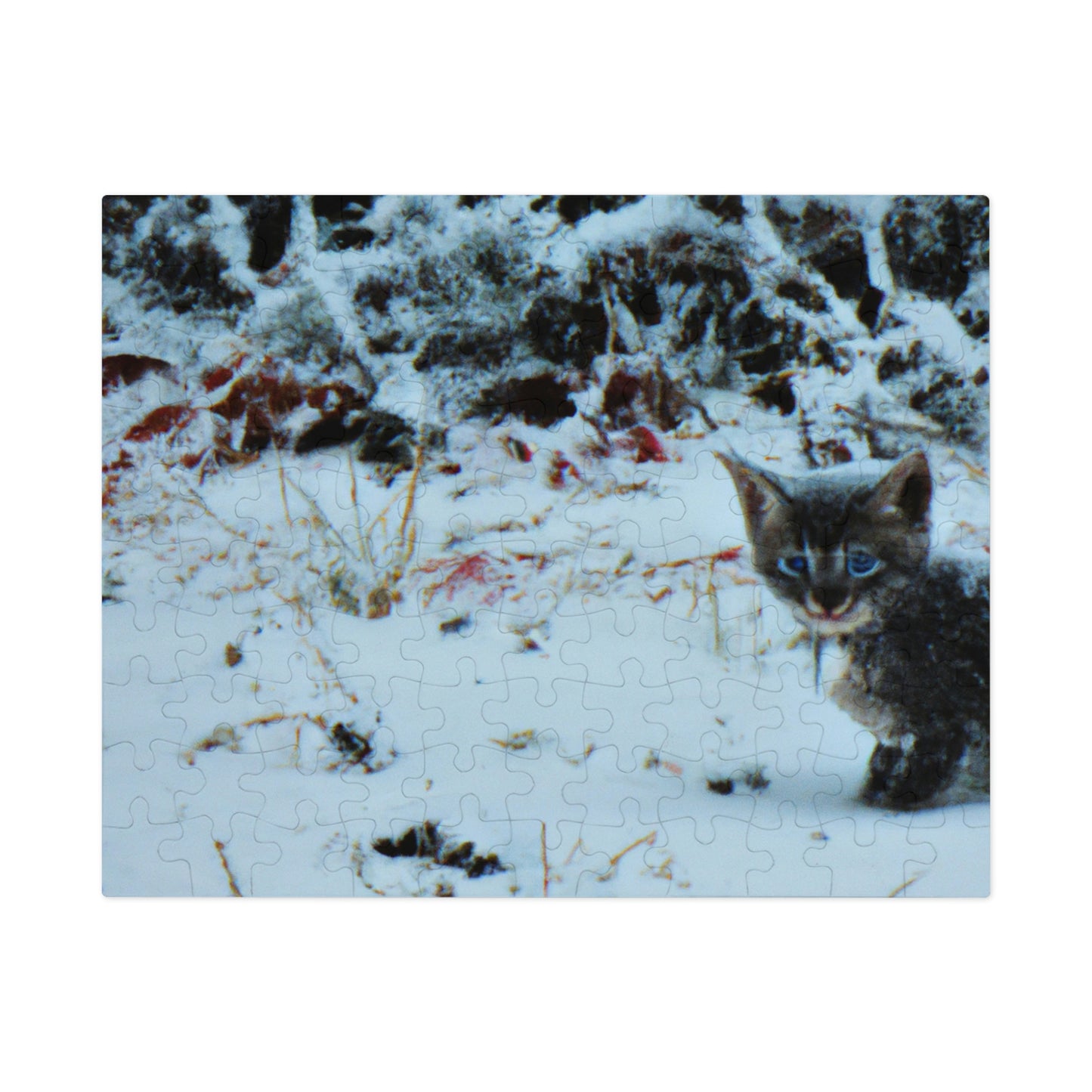 "Brave Kitten in the Frozen Storm" - The Alien Jigsaw Puzzle