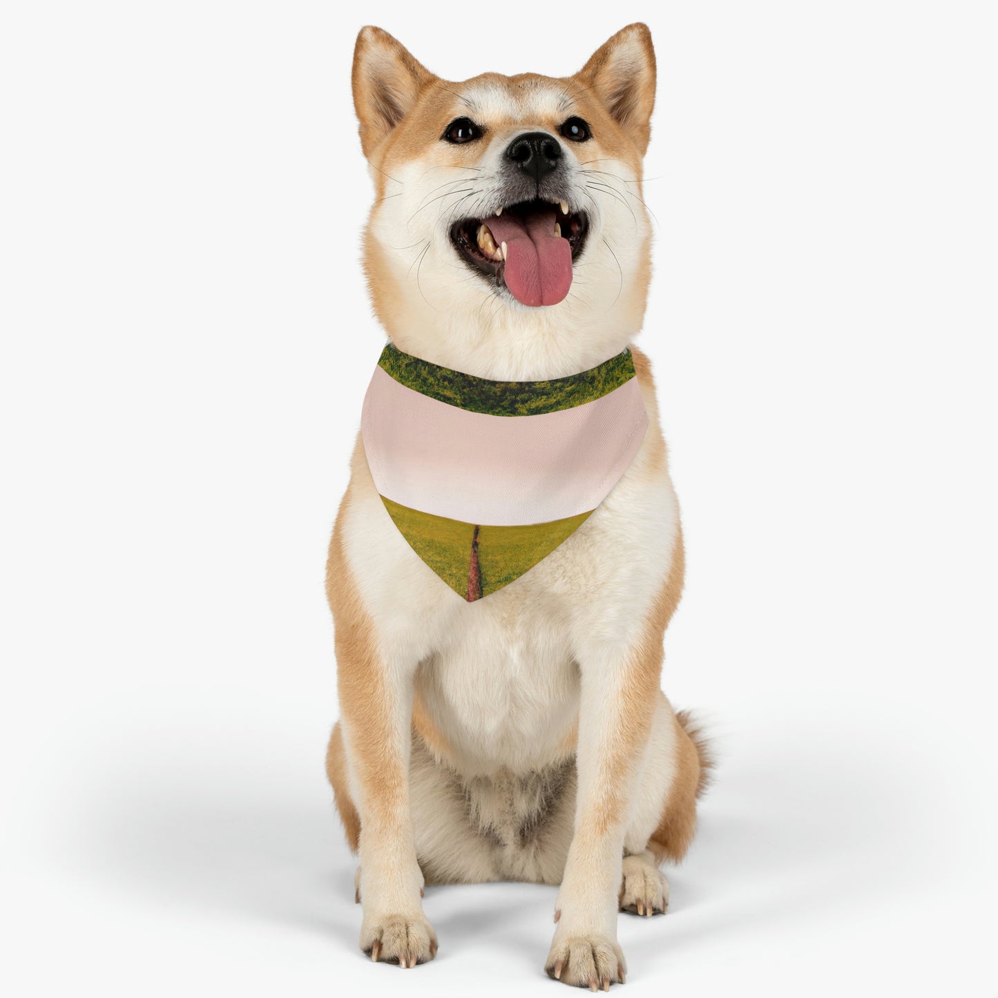 "Golden Horizon at Dusk" - Das Alien Pet Bandana Halsband