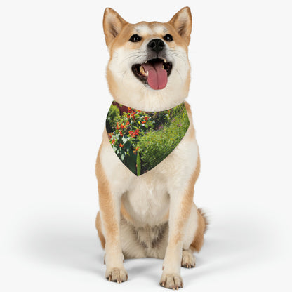 "Garden of Colorful Radiance" - The Alien Pet Bandana Collar