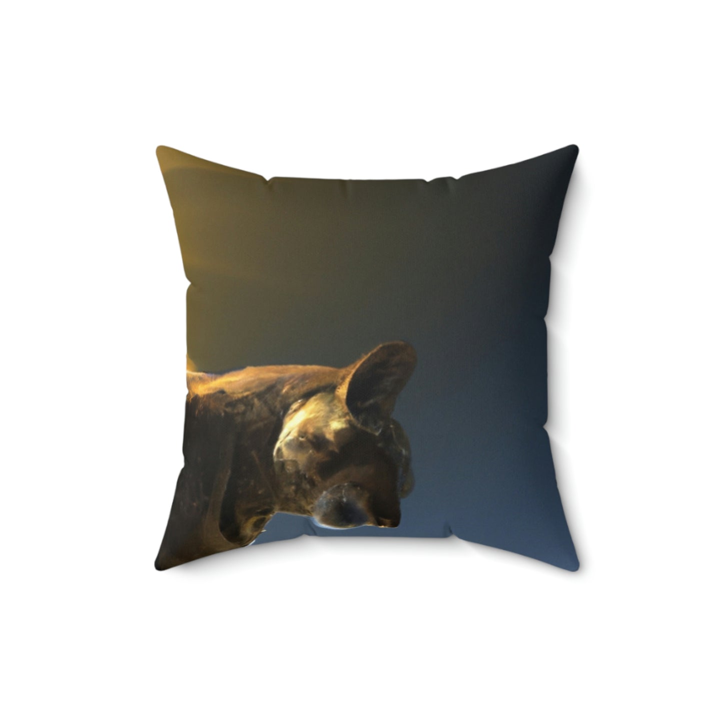 "A Purrfect Sunbeam Moment" - The Alien Square Pillow