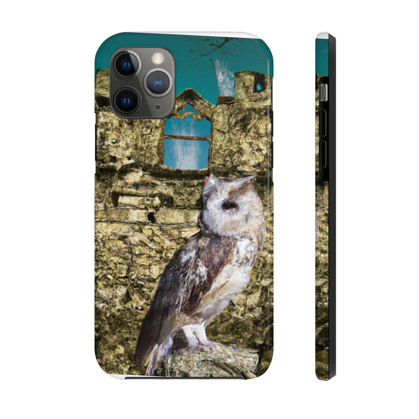 "A Sentinal Among Ruins: An Unstirred Owl's Perch" - The Alien Tough Phone Cases