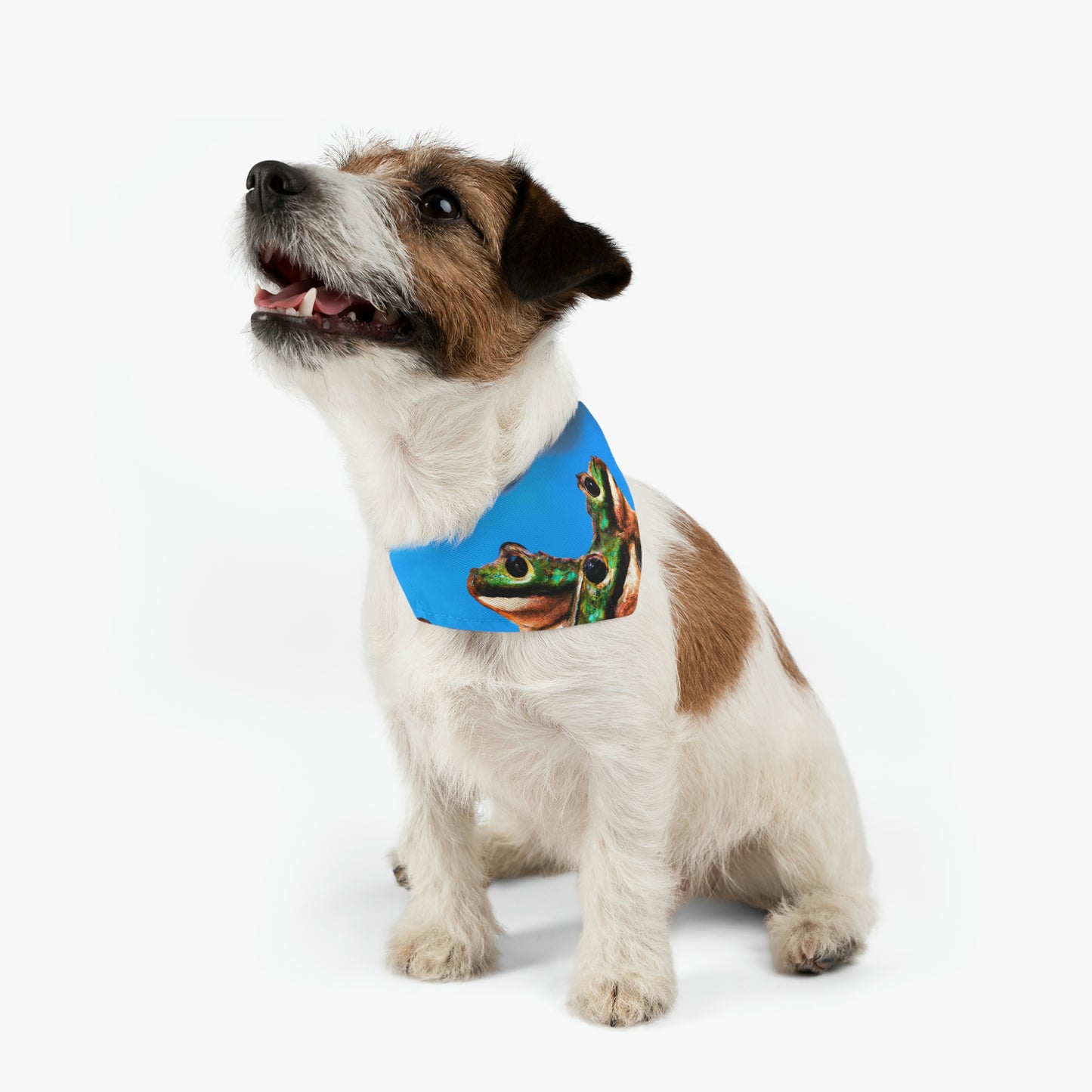 "Ein Froschchor im Gewitter" - Das Alien Pet Bandana Halsband