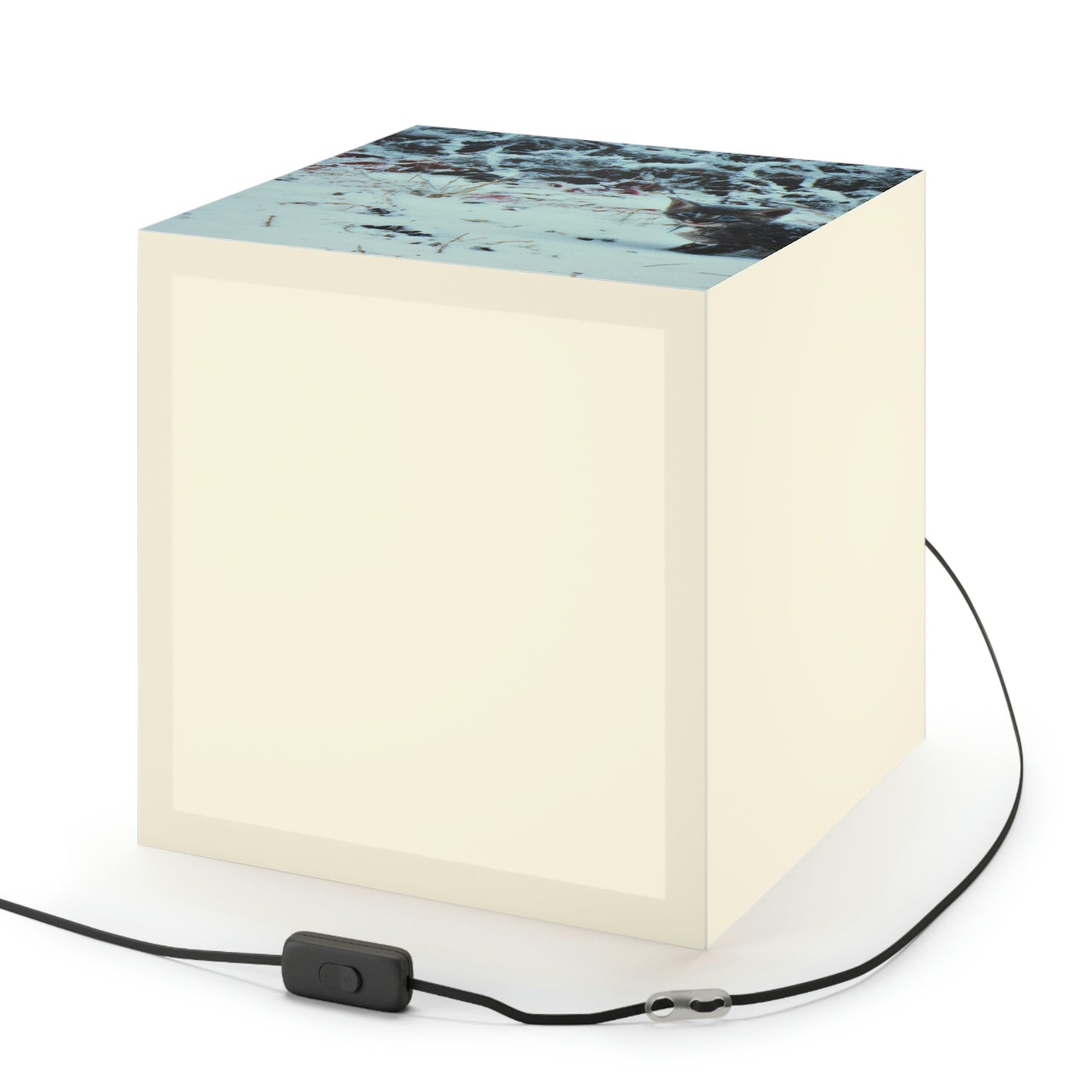 "Brave Kitten in the Frozen Storm" - The Alien Light Cube Lamp