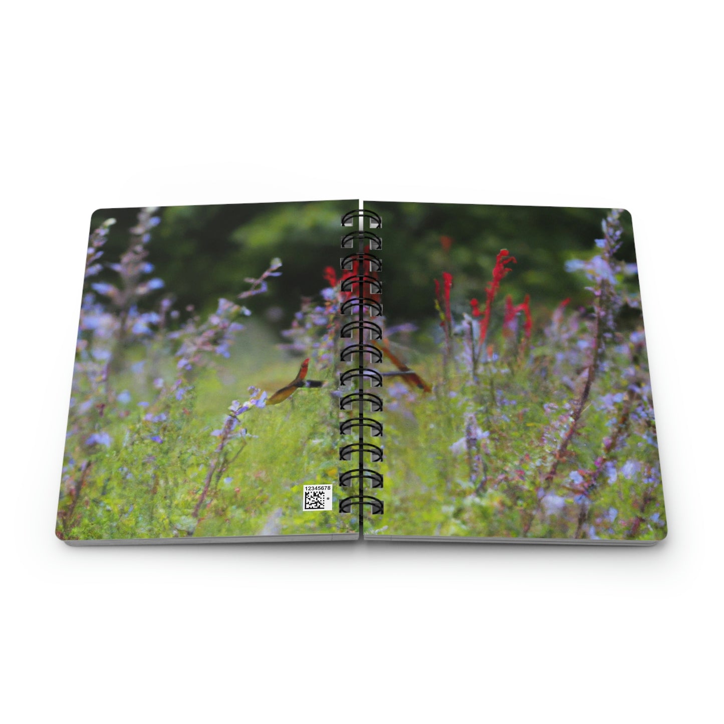 "The Dragonfly Ball in the Wildflower Meadow" - The Alien Spiral Bound Journal