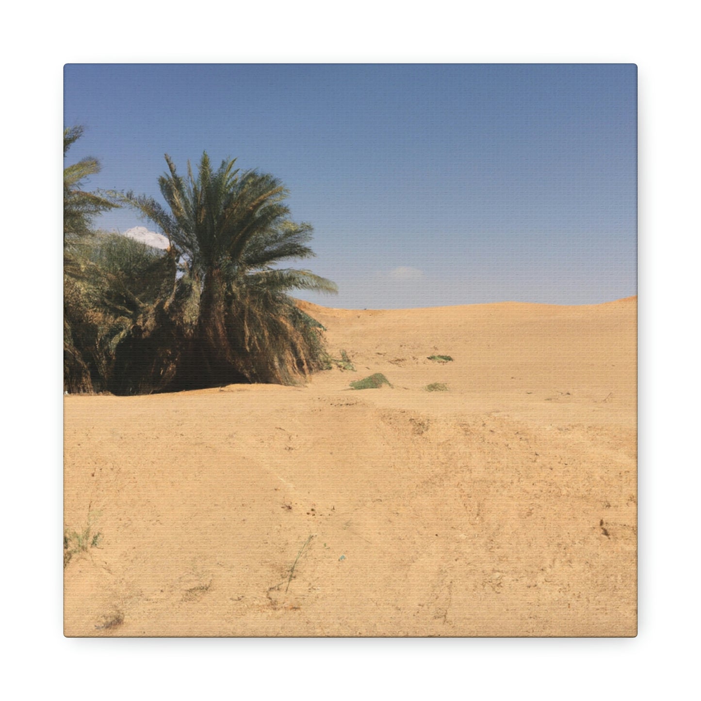 "Un oasis en el desierto" - The Alien Canva