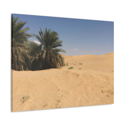 "A Desert Oasis" - The Alien Canva